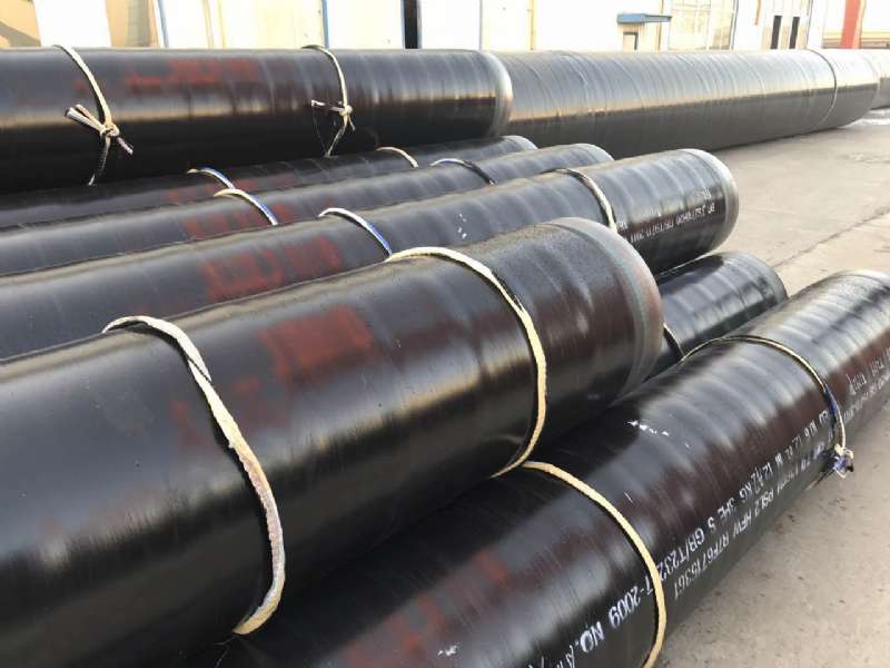 ����ϩ����������